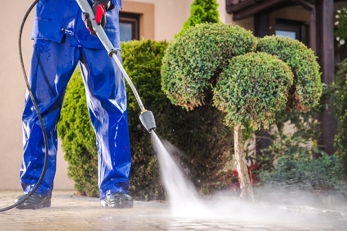 Cleaning service2
